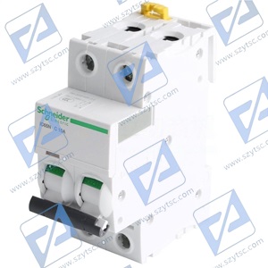 IC65N 2P C10A